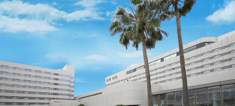 东京湾舞滨酒店第一度假村(Tokyo Bay Maihama Hotel First Resort)图片