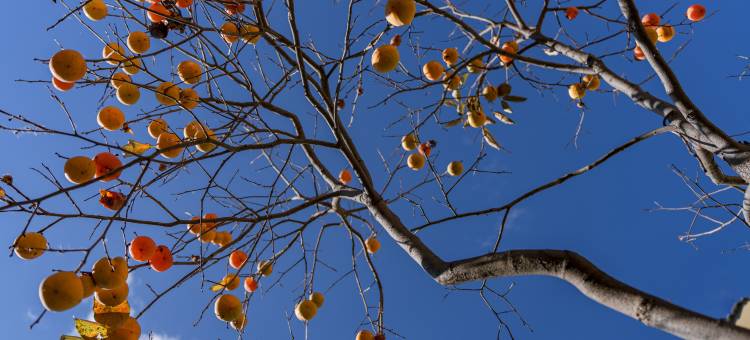 云乐园民宿图片