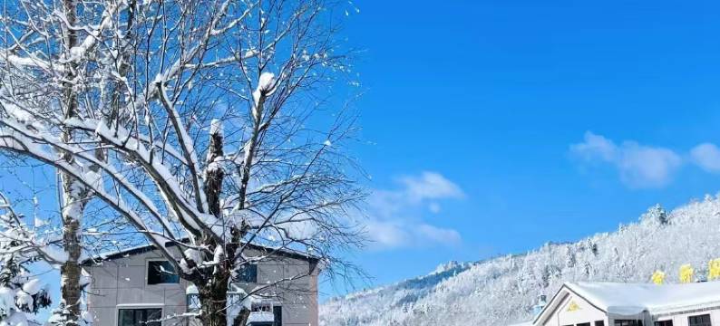 雾淞雪意｜Snow•Trip松下秘语度假观景别院(二浪河店)图片
