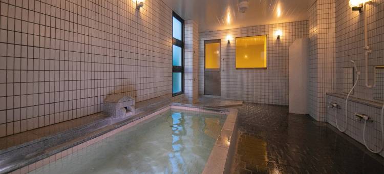 成田机场酒店(Narita AIC Airport Hotel)图片