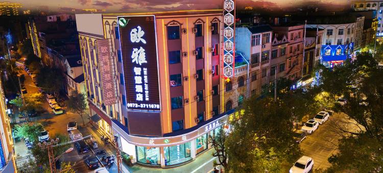 欧雅•智慧酒店(蒙自文萃路店)图片