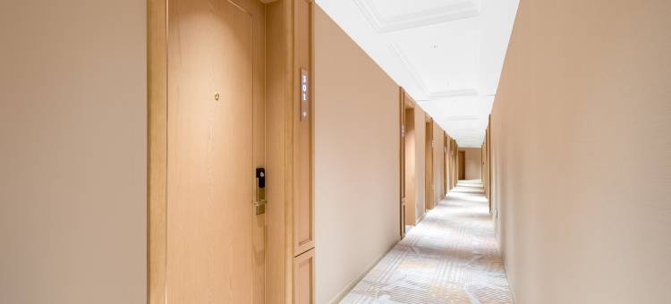 维也纳酒店(淮南寿县新桥大道店)图片