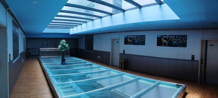 拉孜贝壳酒店图片