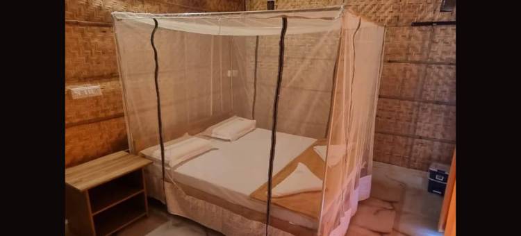 岩石上的国王(The King On The Rocks)图片