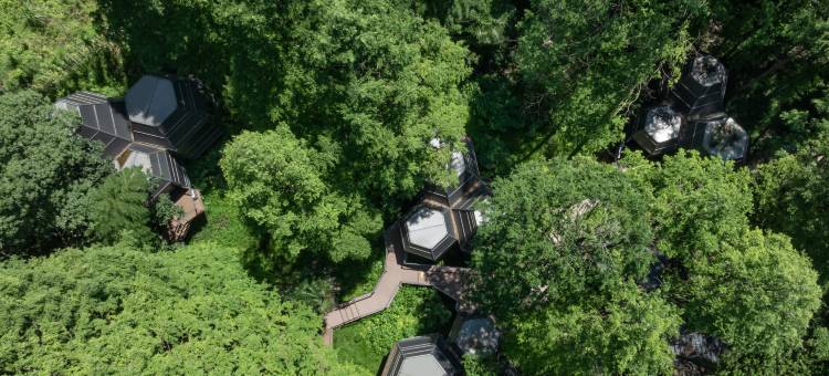 向野而生·东明山(杭州良渚文化村店)图片