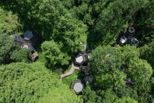 向野而生·東明山(杭州良渚文化村店)