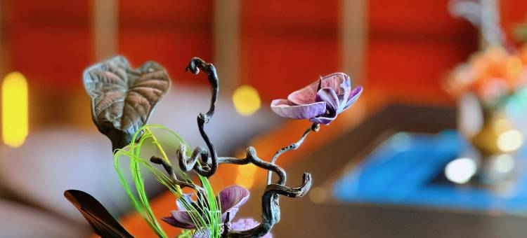 华阳商务酒店(TDH HOTEL)图片