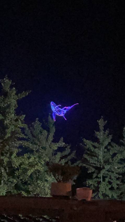 半山云舍·侘寂风半山观景度假中古合院谧花园(武当景区售票处店)图片