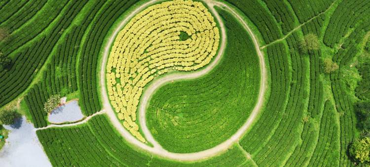 英德·松香山舍The Rosin Valley Villa & SPA(积庆里仙湖店)图片