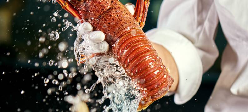 咸阳乐思佩酒店(咸阳西站地铁站店)图片