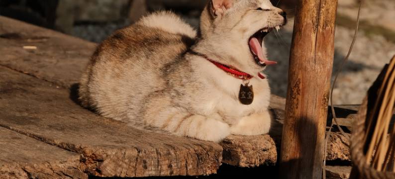 宁波卿至·竹林秘境·湖景度假美宿(东钱湖风景区店)图片