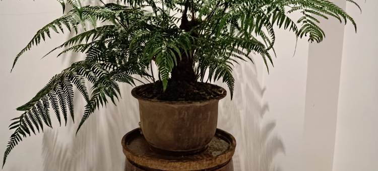 恭城江全楼民宿图片