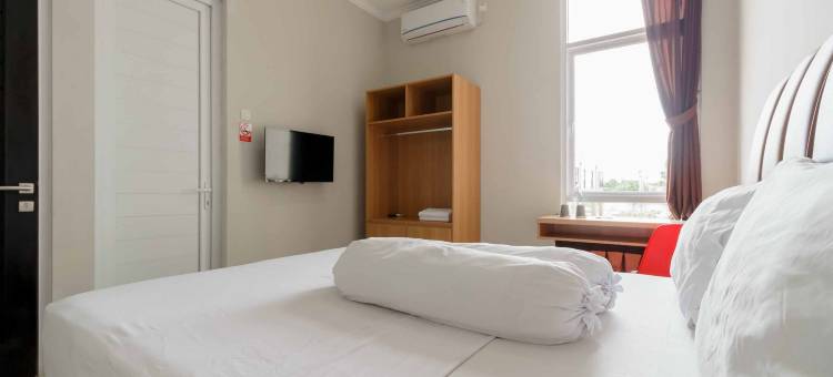 Palm Eight RedPartner图片