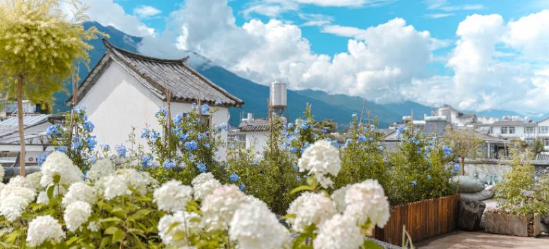 大理古城一佳园民宿图片