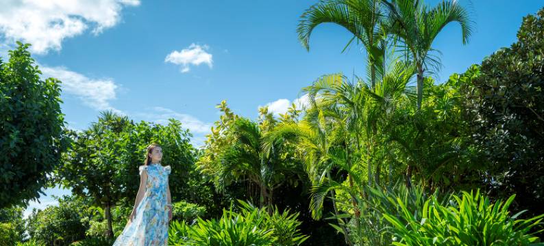 南方海滩酒店(Southern Beach Hotel & Resort)图片