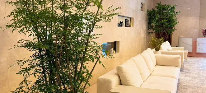 深圳市宜居酒店图片