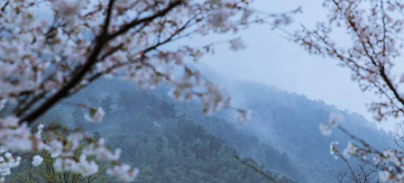 安吉柏翠姚良度假酒店图片