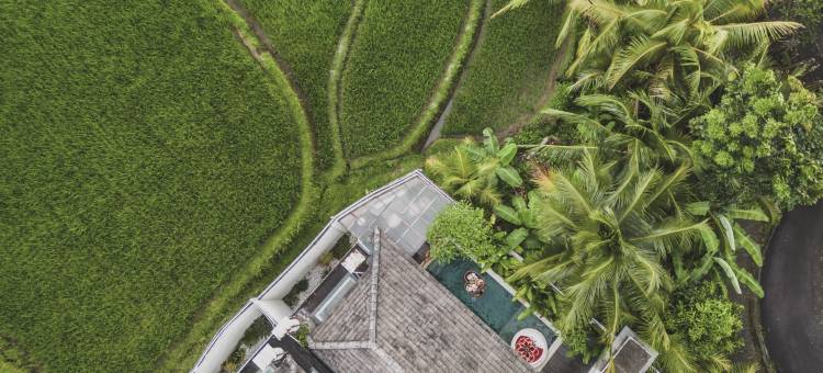 乌布阿斯瓦拉别墅 - 伊妮薇款待酒店(Asvara Villa Ubud by Ini VIE Hospitality)图片