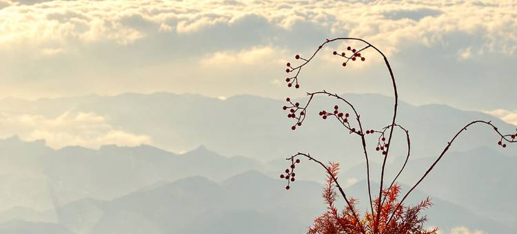 兴义叁屿·云民宿图片