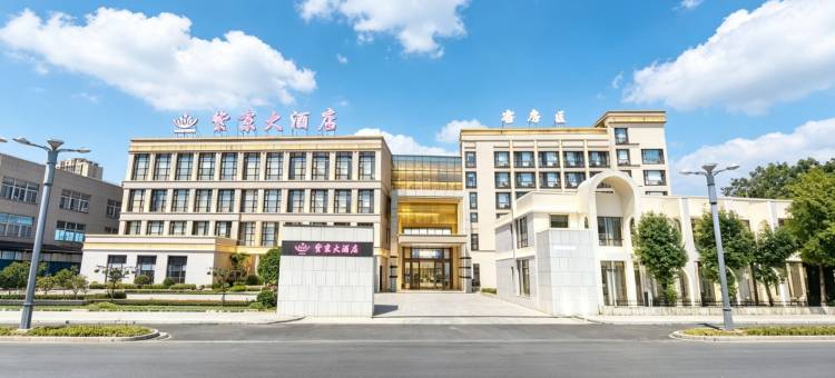 平阳紫京大酒店图片