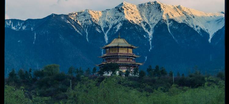 林芝岩庐雪山富氧别院(尼洋河店)图片