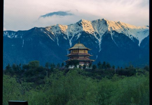 林芝岩庐雪山富氧别院（尼洋河店）外景图