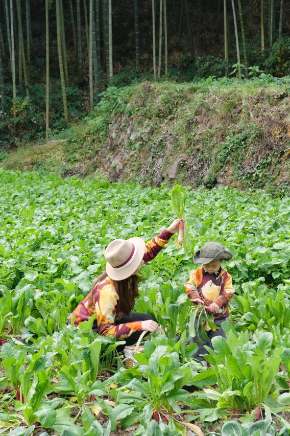 诸暨尧珈·养心墅图片