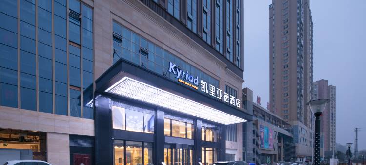 凯里亚德酒店九江修水欢乐海岸广场店图片