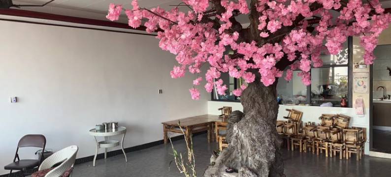 樱花谷摄影之家客栈图片