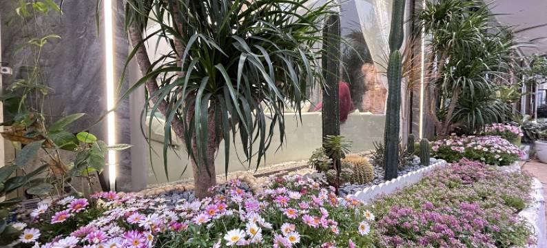 抚仙湖·鹭恋民宿图片