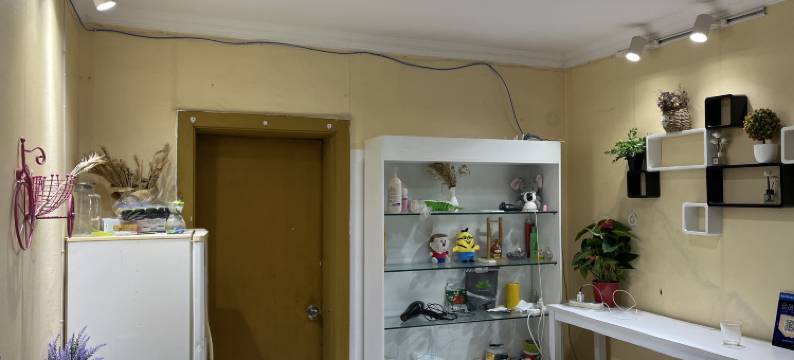 郑州好久不见青年客栈图片