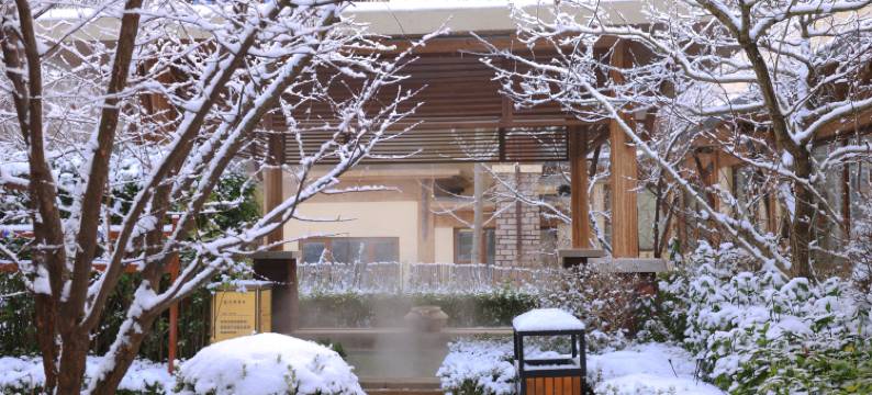 大连金石滩绿发温泉假日酒店图片