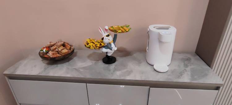 艺龙海雅酒店(连云港高铁站店)图片