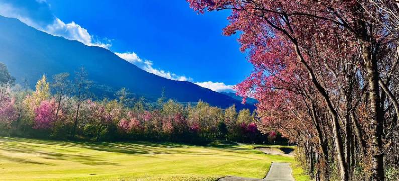 苍海高尔夫艺术酒店图片