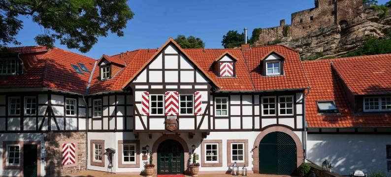Relais & Châteaux 哈登堡城堡酒店(Relais & Châteaux Hardenberg BurgHotel)图片