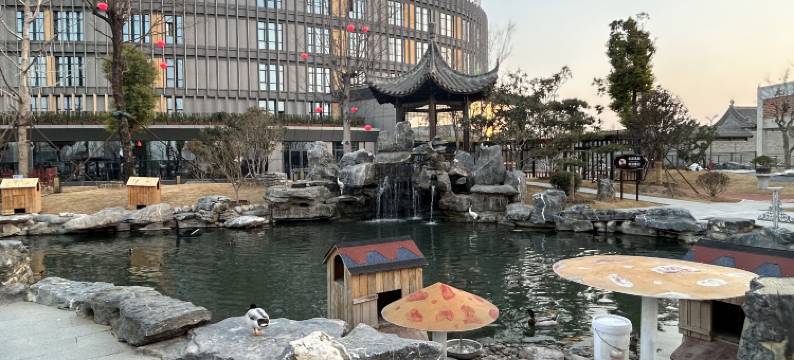 焦作太极健康养生酒店图片