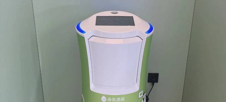海友酒店(上海国际旅游度假区川周公路店)图片