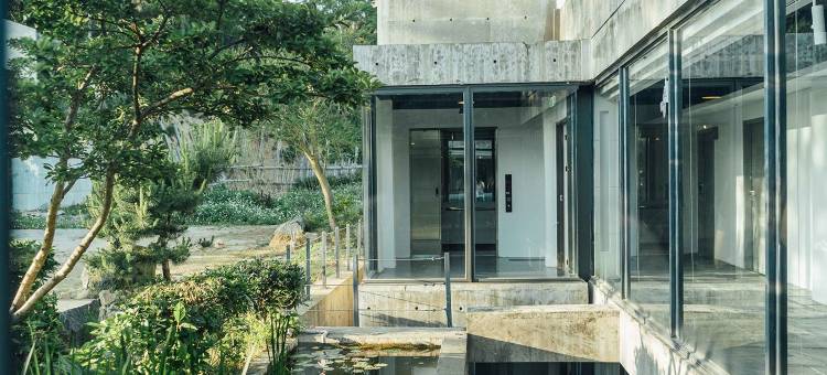 日光春和 Dayspring图片