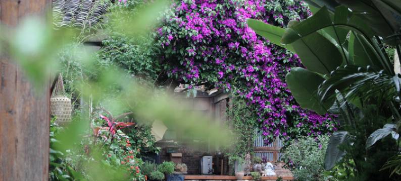 万峰林胡桃民宿图片