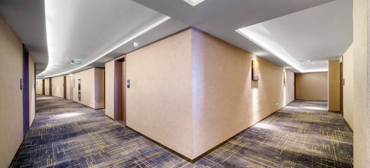 丽呈睿轩酒店(杭州中大银泰城东新路店)图片