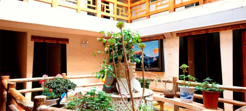 若初见青年酒店图片