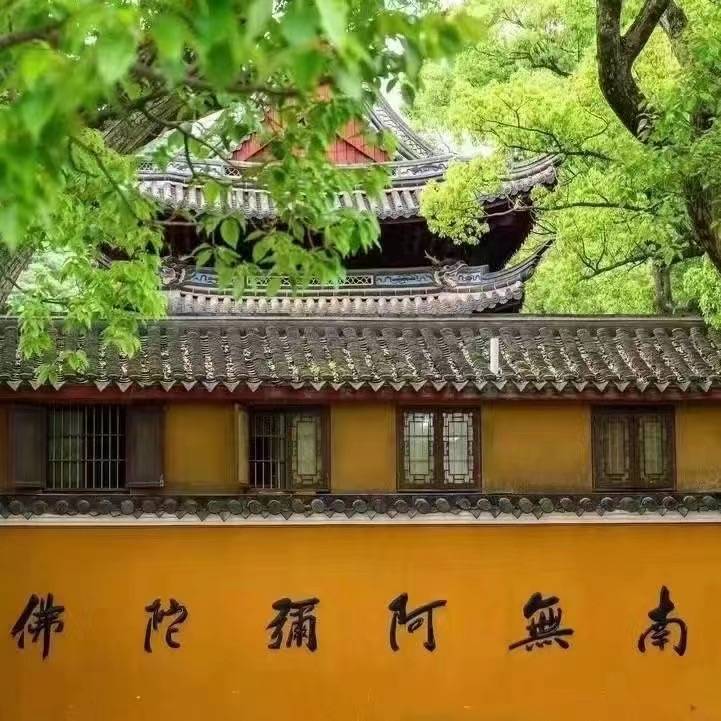 桂雨|简白Art·轻奢浪漫氛围美宿(朱家尖蜈蚣峙码头店)图片