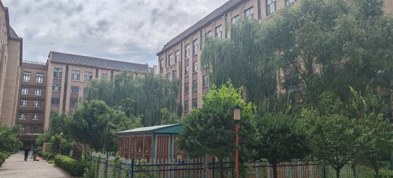 蓝桉民宿(镇北堡西部影城看见贺兰演艺小镇店)图片