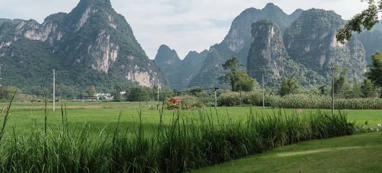 大新山禾·邻越度假酒店图片
