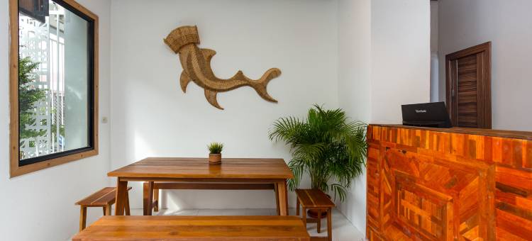 清迈古城安逸雅居(Comfy Corner Hotel)图片