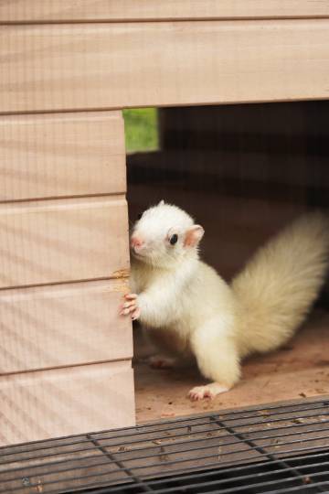 广州白云国际会议中心越秀万豪酒店图片