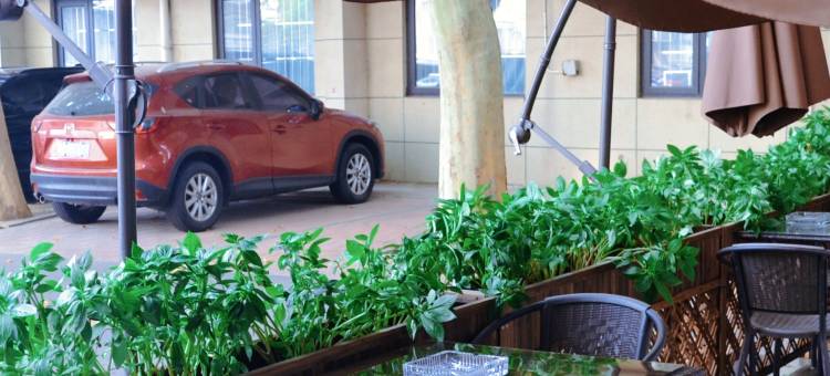 IU酒店(天津第一中心医院南开大学八里台店)图片