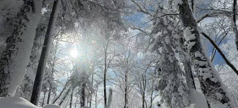 雪谷九鼎阁客栈(雪谷风景区店)图片