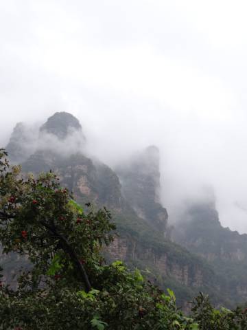 携程度假农庄(河南安阳林州石板岩店)图片