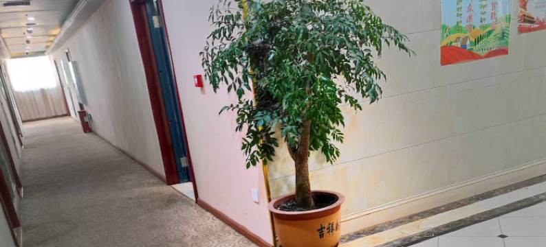 察雅德玛大酒店图片